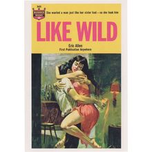 Like Wild Cheating Sisters Husband Adultery 1950s Risque Book Postcard