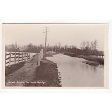 Flood Scene at Harrold Bridge Postcard RP Bedfordshire