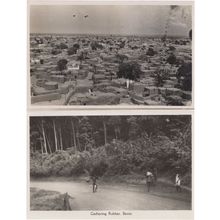 Gathering Rubber Nigeria & Kano City 2x Africa Photo & Postcard s