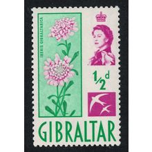 Gibraltar Candytuft Flower ½d 1960 MNH SG#160