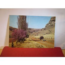 COUNTRY ROAD, FREE STATE, SOUTH AFRICA used postcard =