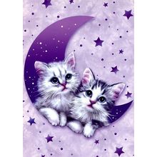 Wish Upon A Star - Tree Free Greetings - 10366