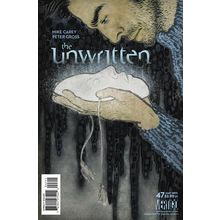 Unwritten (Vol 1) # 047 NM MODERN AGE COMICS