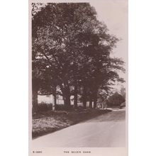 Sevenoaks Kent 1915 WW1 Real Photo Postcard