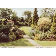 Cuffley Garden in Summer Hertfordshire Postcard