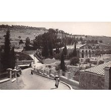 Garden of Gethsemane : photo-style postcard P 49