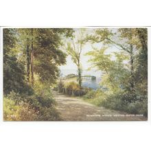 Kewstoke Woods Weston Super Mare Somerset Brian Gerald Art Postcard A869