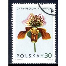 POLAND 1965, Orchids - Cypripedium hibridum, 30 G, CTO (2)