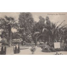 Bad Pyrmont Parkpartie Beautiful German Park Trees Old Postcard