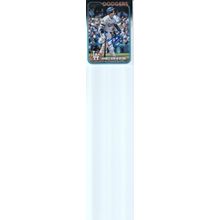 SHOHEI OHTANI 2024 AUTOGRAPHED LOS ANGELES DODGERS OUTFIELDER WORLD CHAMPION