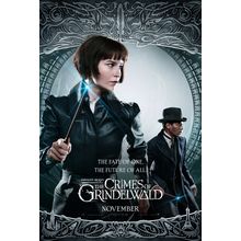 Fantastic Beasts_ The Crimes of Grindelwald (2018)_16 Movie Film Poster Canvas i