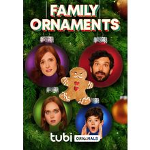 Family Ornaments (2023)_0 Movie Film Poster Canvas iconic design