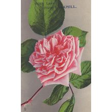 Larkhill Wiltshire Military Town Greetings Old Love Postcard