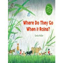Where Do They Go When It Rains