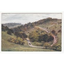 Zig-Zag Road Box Hill near Dorking Postcard Surrey Art A R Quinton 1512