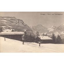 Skiing Wengen Breit Und Tachingelhorn Switzerland Old Postcard