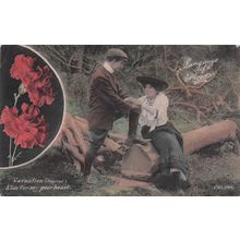 Language Of Flowers Deep Red Carnation Alas For My Poor Heart Romance Postcard