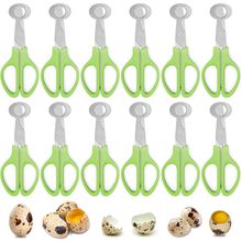 Quail Egg Cutter Scissors Stainless Steel Pigeon Bird Egg Opener Pack of 12