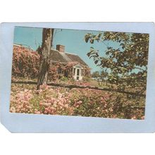 MA Cape Cod Cape Cod Cottage & Roses ma_box2~690