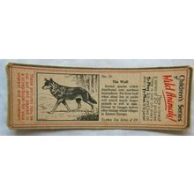 1955 Typhoo Wild Animals card 11 The Wolf