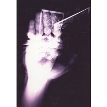 Magician Hand Pack Of Cards Vanishing Card Magic Postcard
