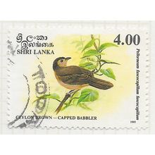 SRI LANKA 1993 BIRDS OF CEYLON BROWN CAPPED BABBLER 4R USED