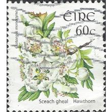 EIRE, FLOWER, Hawthorn, Crataegus monogyna, white 2004, 60c, #2