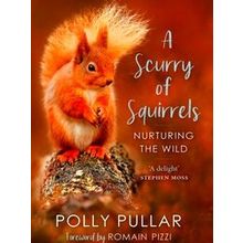 A Scurry of Squirrels