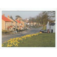 The Village of Burton Leonard Modern Postcard North Yorkshire A