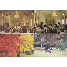 Restful Moments in Bath Avon Pump Room Flowers 4x Postcard s