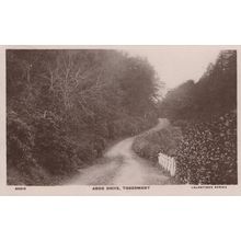 Aros Drive Tobermory Scotland Real Photo Old Postcard