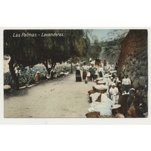 GRAN CANARIA Las Palmas Lavanderas Washerwomen early 20th C. RPPC Spain