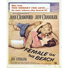 Female on the Beach (1955)_1 Movie Film Poster Canvas iconic design