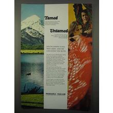 1966 Panagra Pan Am Airways Ad - Tamed Untamed