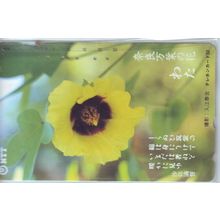 Hibiscus Japan NTT Phone Card