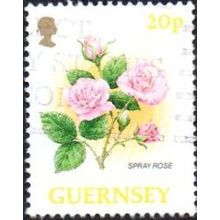Guernsey 1992. 20p Value. Spray Rose. Fine Used