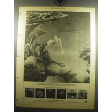 1975 Yes Yesterdays Album Ad - Yesterday's greatness is tomorrow's glory