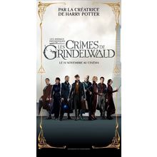 Fantastic Beasts_ The Crimes of Grindelwald (2018)_22 Movie Film Poster Canvas i