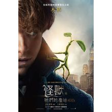 Fantastic Beasts and Where to Find Them (2016)_23 Movie Film Poster Canvas iconi