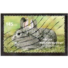 GER 2007 145c+55 'WELFARE -PETS' FINE USED (EBID 13-013)