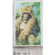 Brooke Bond Going Wild No. 15 Mountain Gorilla, Wildlife Survival Challenge