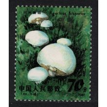 China Edible Mushroom 'Hericium erinaceus' 1981 MNH SG#3097 Sc#1708