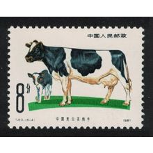 China Black and white dairy cattle 1981 MNH SG#3067