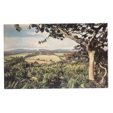 DARTMOOR, DEVON vintage postcard 1981 postmark =