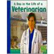 A Day In The Life Of A Veterinarian