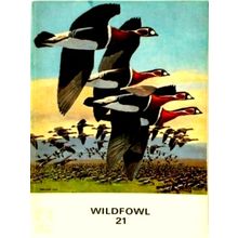 Wildfowl 21