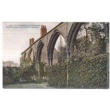 PETERBOROUGH CATHEDRAL FROM CHURCH RUINS, NORTHAMPTONSHIRE antique postcard =