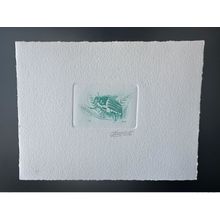 Belgique 1996 COB 2633 Epreuve d'artiste FDC Insect Insecte Hanneton Käfer
