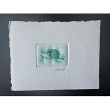 Belgique 1996 COB 2632 Epreuve d'artiste FDC Insect Insecte Coccinelle Beetle