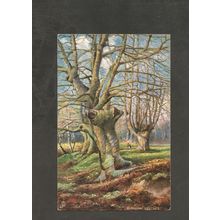 Postcard Berkshire Slough Burnham Beeches Tuck Oilette #6219